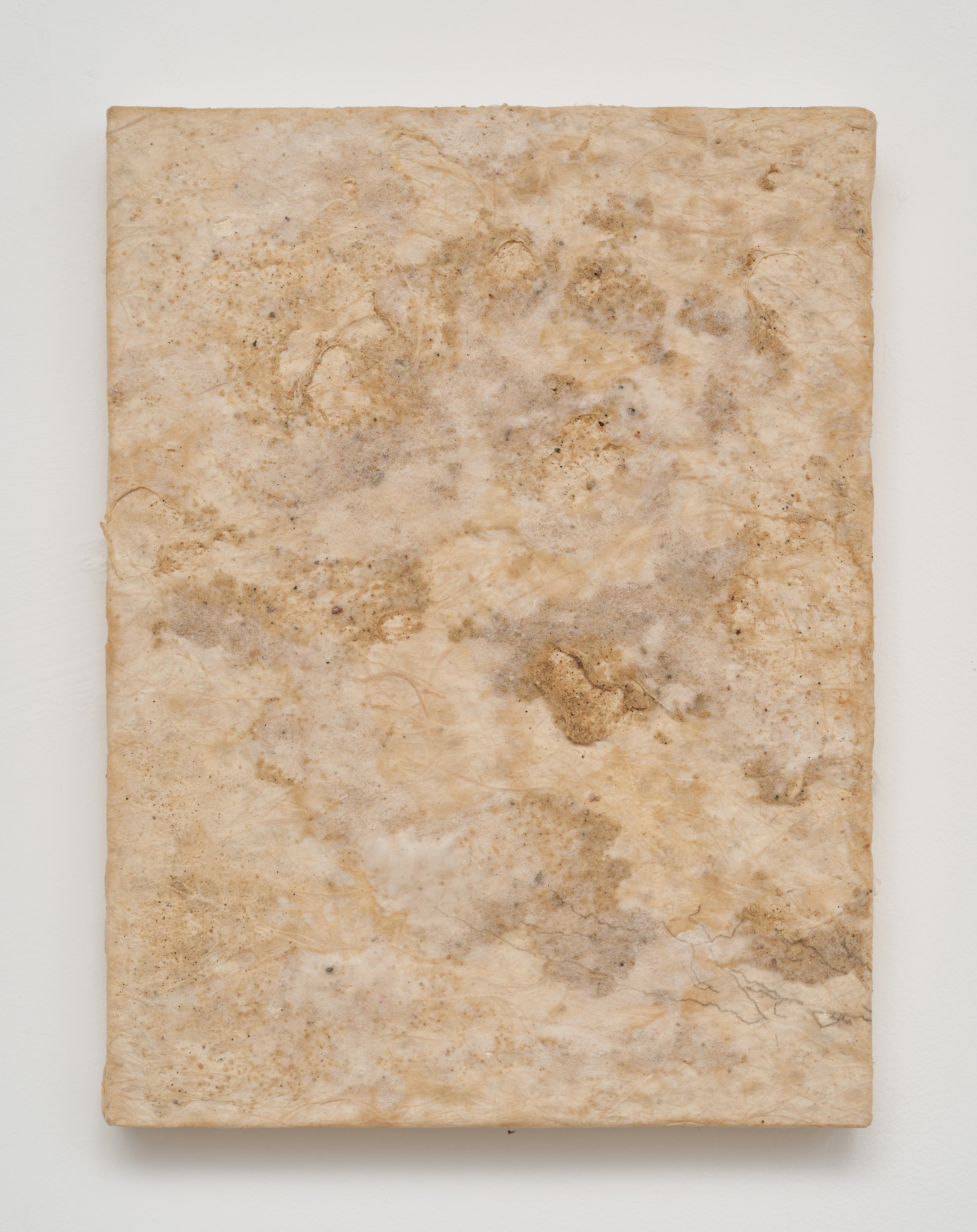 Embracing the Moment 4, 2024, Hanji, nature and acrylic on panel, 30.5 x 23 cm 