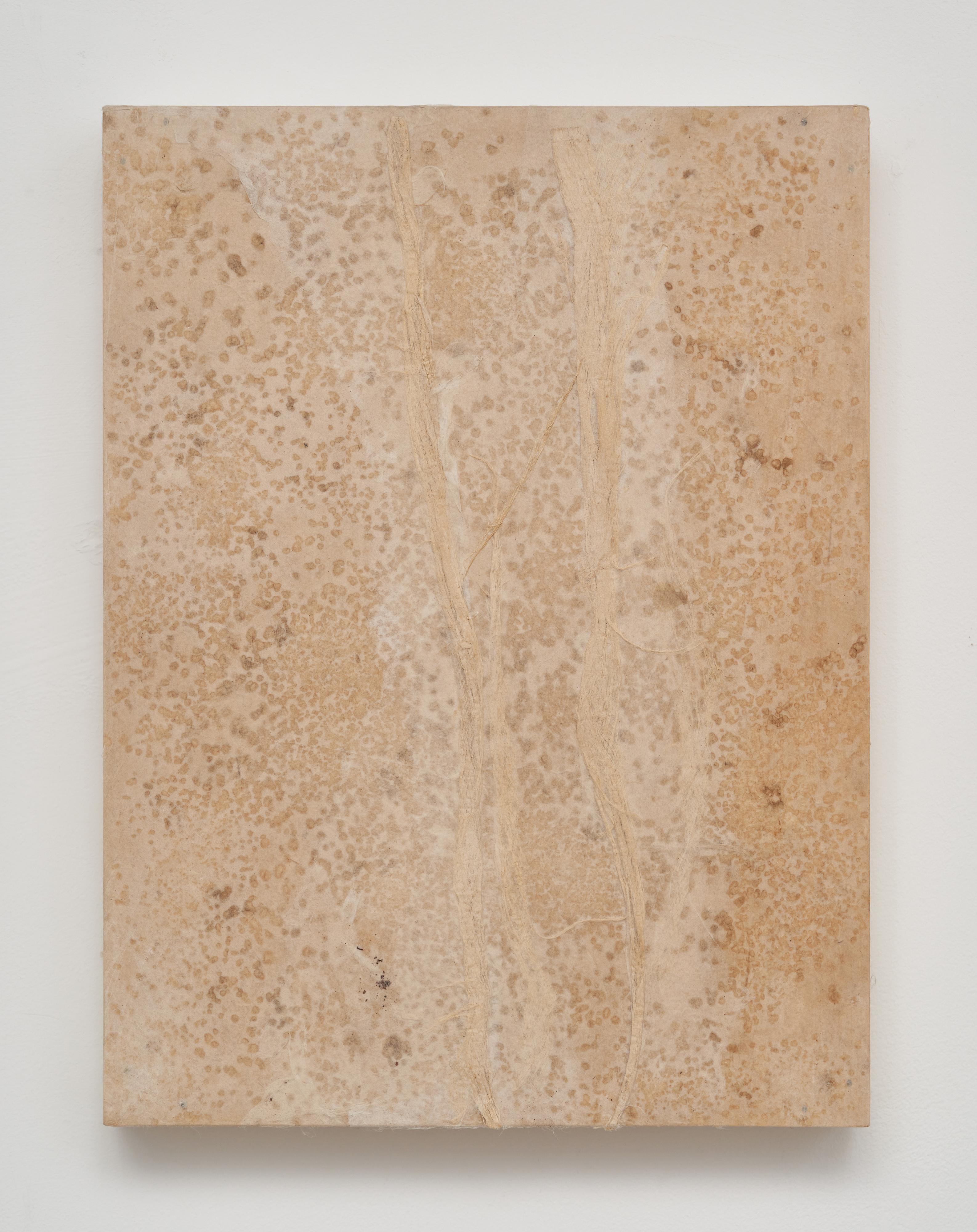 Embracing the Moment 6, 2024, Hanji, nature and acrylic on panel, 30.5 x 23 cm 