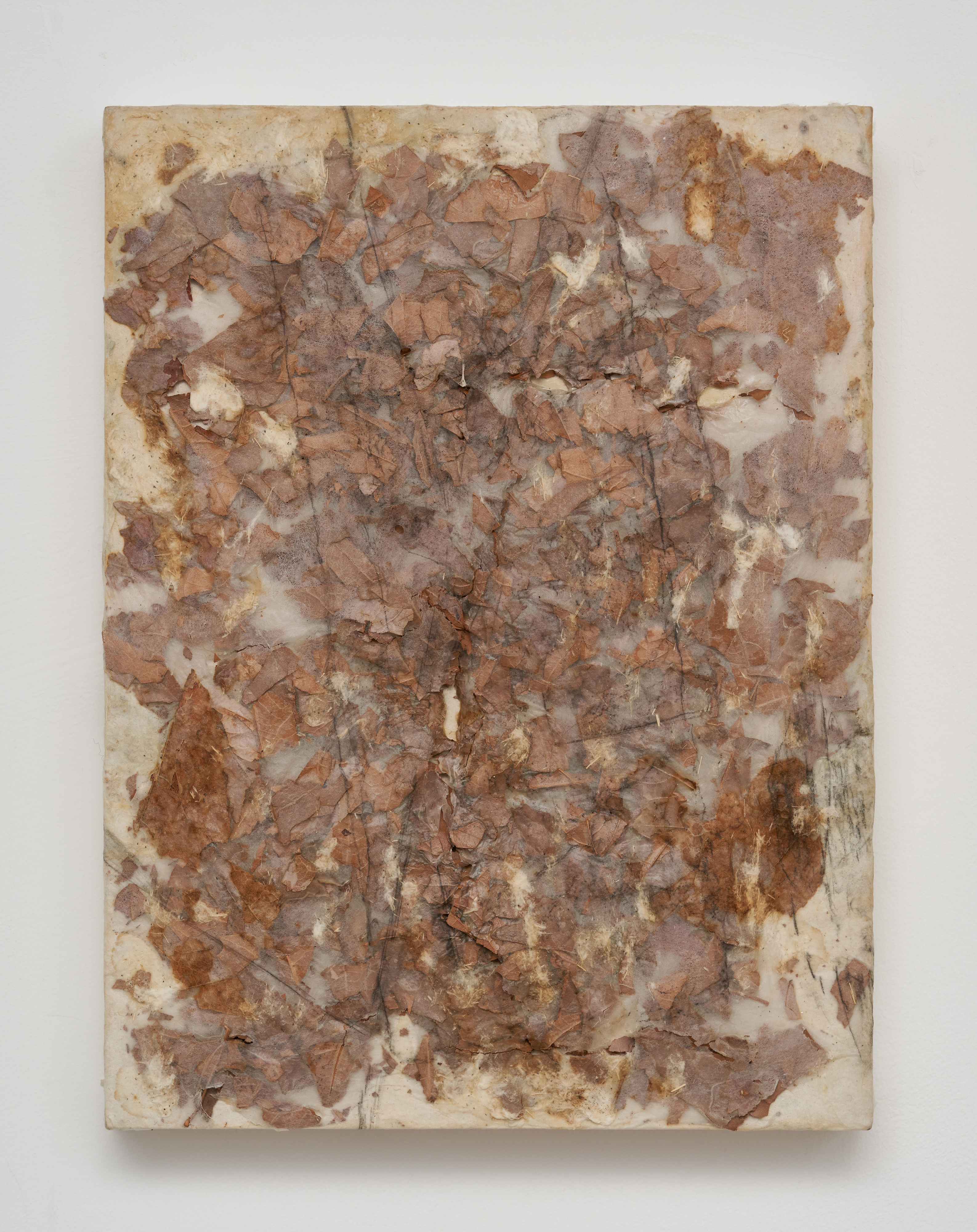 Embracing the Moment 9, 2024, Hanji, nature and acrylic on panel, 30.5 x 23 cm 