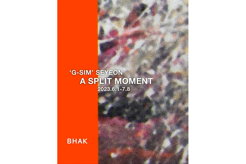 A Split Moment 찰나