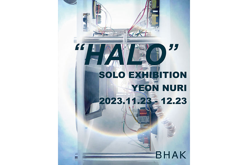 Halo 헤일로